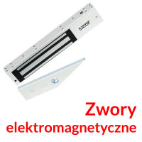 Zwory elektromagnetyczne