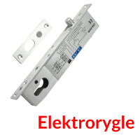 Elektrorygle