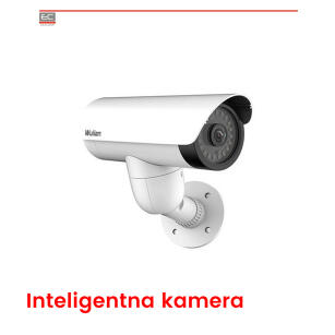 WL-ZAVWDMW-C221121-01 - Inteligentna kamera zewnętrzna z funkcją bramy 1080P -WULIAN