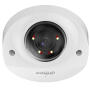 IPC-HDBW2449F-AS-IL-0280B - Kamera kopułkowa IP 4Mpx, 2.8mm, IK10, Smart Dual Light, WizSense - Dahua