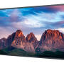 SF-43DS60 - Monitor przemysłowy Digital Signage, LED 43