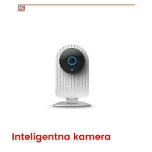 WL-ZAVMDPW-C412121-01 - Inteligentna kamera  z bramą lookever 1080P -WULIAN