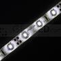 Taśma LED wodoodporna IP65 300 SMD 3528, rolka 5m, biały zimny