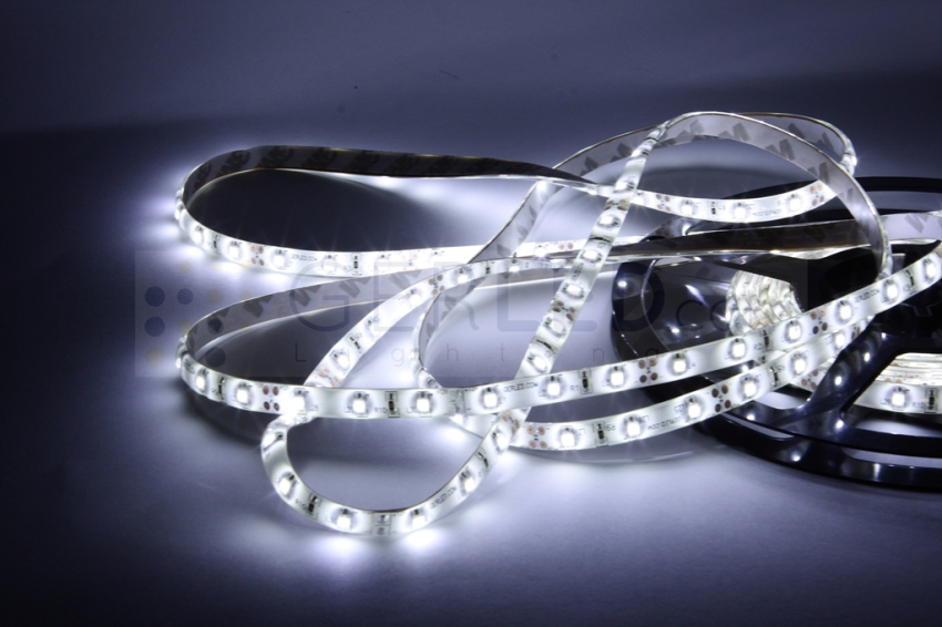 Taśma LED wodoodporna IP65 300 SMD 3528, rolka 5m, biały zimny