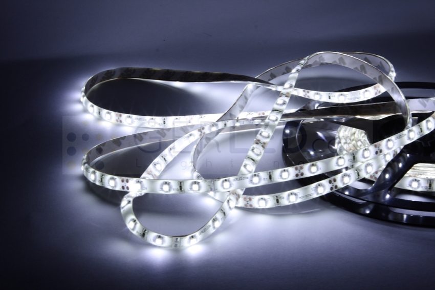 Taśma LED wodoodporna IP65 300 SMD 3528, rolka 5m, biały zimny
