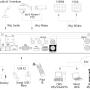 BCS-CVR1601A-III - Rejestrator 16-kanałowy 1080P HD-CVI / ANALOG / IP - BCS - 4