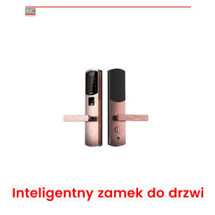 WL-W2R- Inteligentny zamek do drzwi - WULIAN