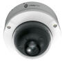 IPC-D24-L - Kamera kopułkowa IP 8Mpx, 2.8mm, Smart Dual Light, Starlight, Mikrofon, AI, IK10 - VESTA
