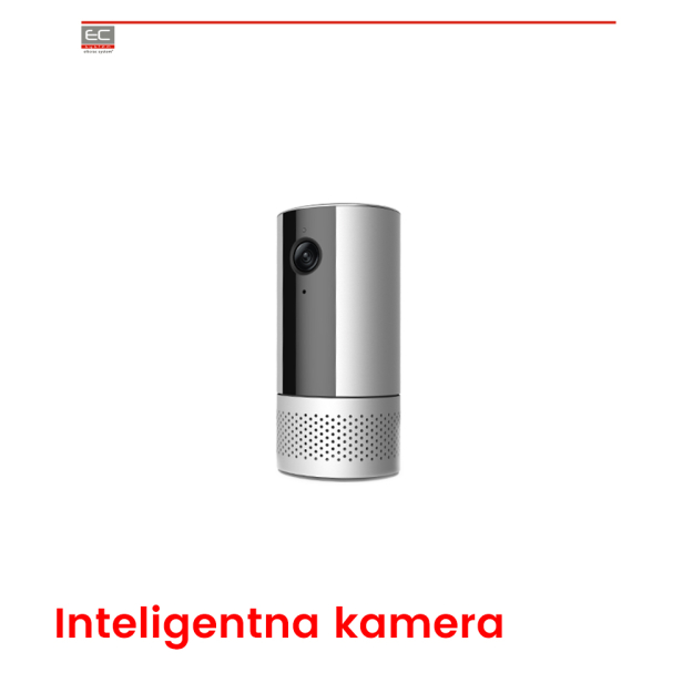 WL-ZAVMDMS-C322121-01 - Inteligentna kamera FullHD z bramą i monitorem środowiska -WULIAN