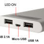 PB10000 - Power bank 10000mAh 2.1A  2x USB - 7